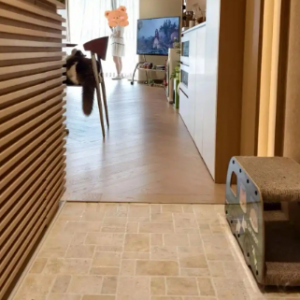 ��̝���Ϲ����Գֵ�5���b���OӋ��ʡ�X߀���ã��A�㲻������հ�