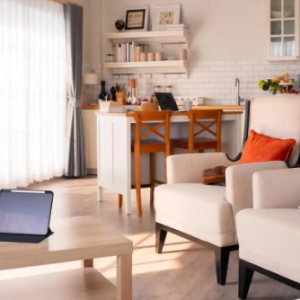 �@�ӵ��b��Ч���D���������мҵ�ģ�ӆ᣿